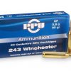 AMMO PPU 243/90G SOFT POINT (PACK OF 20)